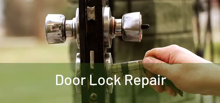 Door Lock Repair