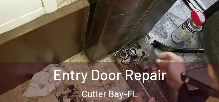 Entry Door Repair Cutler Bay-FL