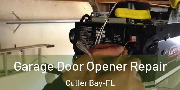 Garage Door Opener Repair Cutler Bay-FL