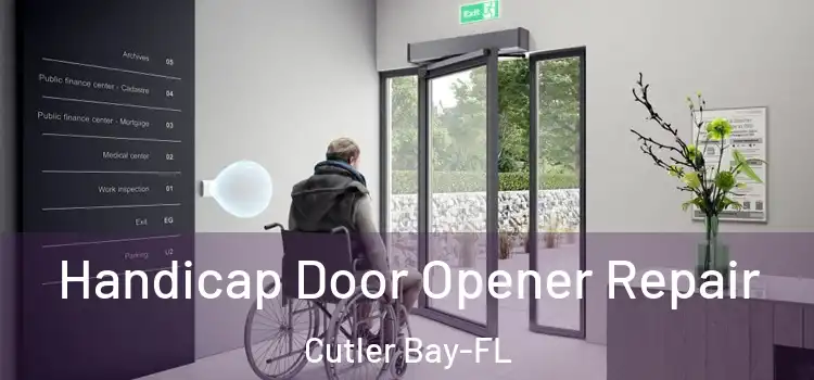 Handicap Door Opener Repair Cutler Bay-FL